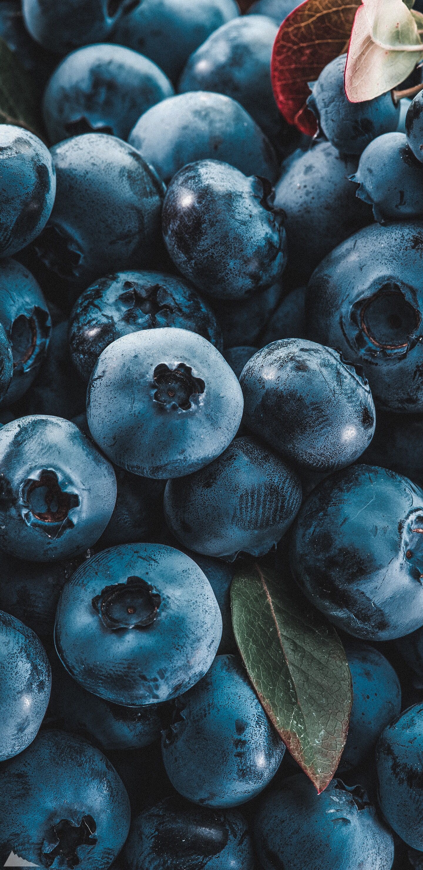 Blueberry Aesthetic Wallpaper