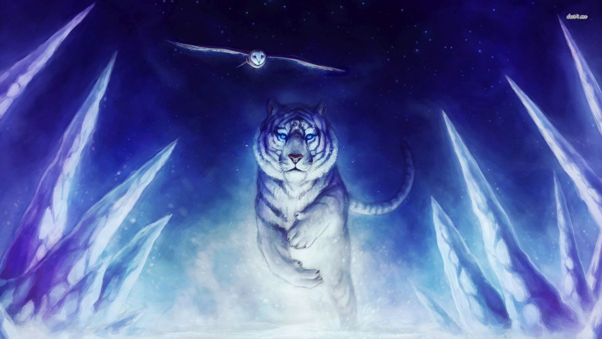 Blue Tiger Wallpapers Wallpaper Cave