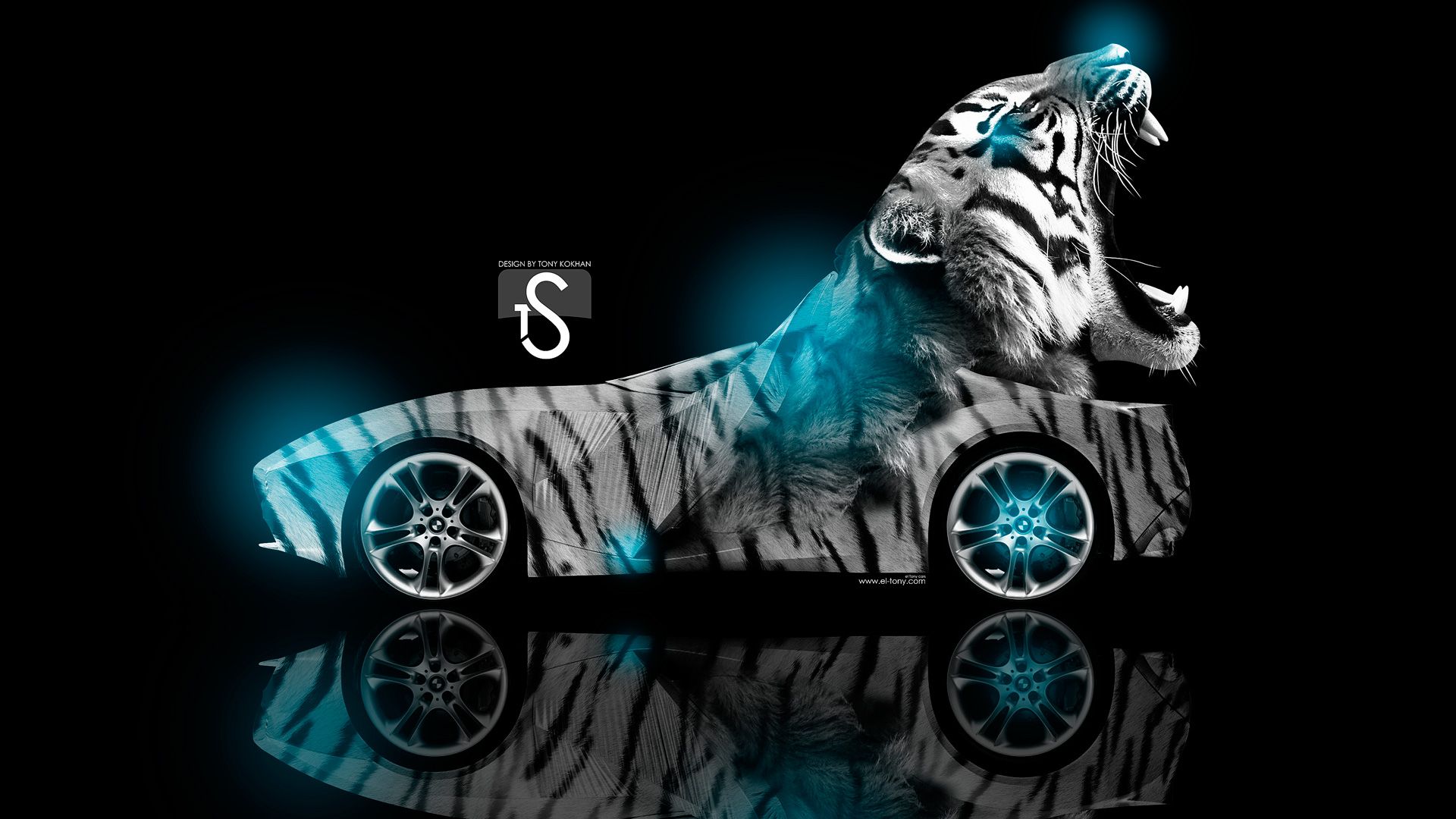 Blue Tiger Wallpapers Wallpaper Cave