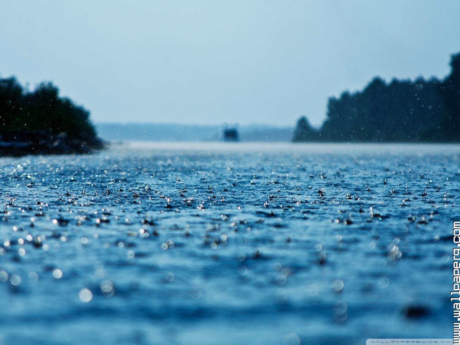 Summer Rain Wallpapers Wallpaper Cave