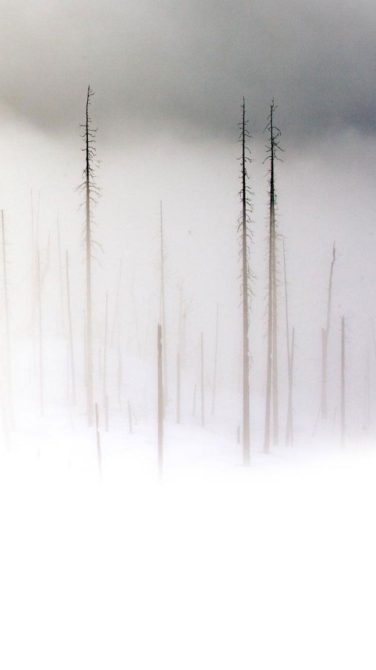 Plain White iPhone Wallpapers Wallpaper Cave