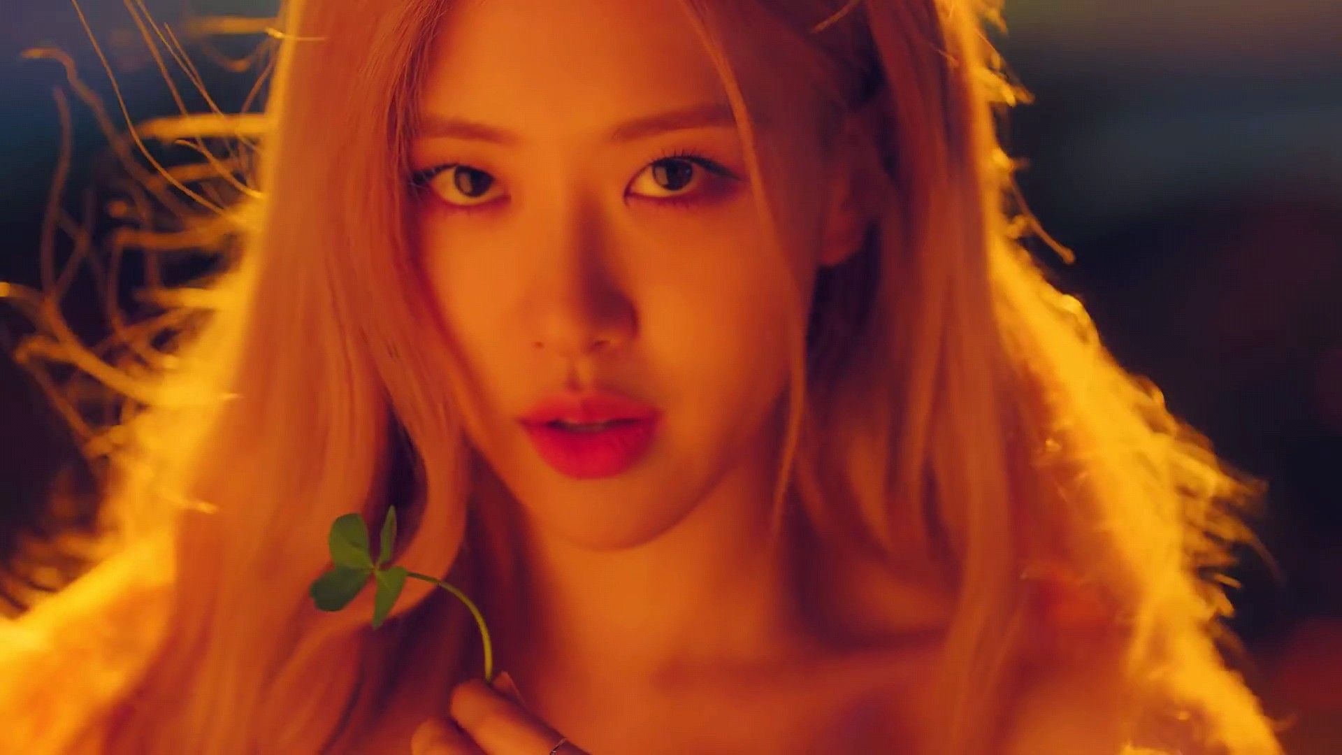 Rose Kill This Love Wallpapers Wallpaper Cave