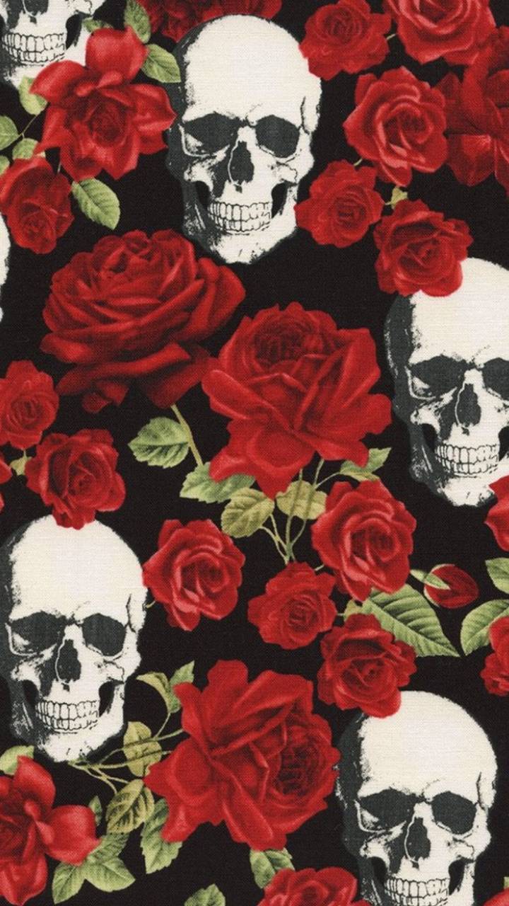 Dead Flowers Wallpapers Wallpaper Cave