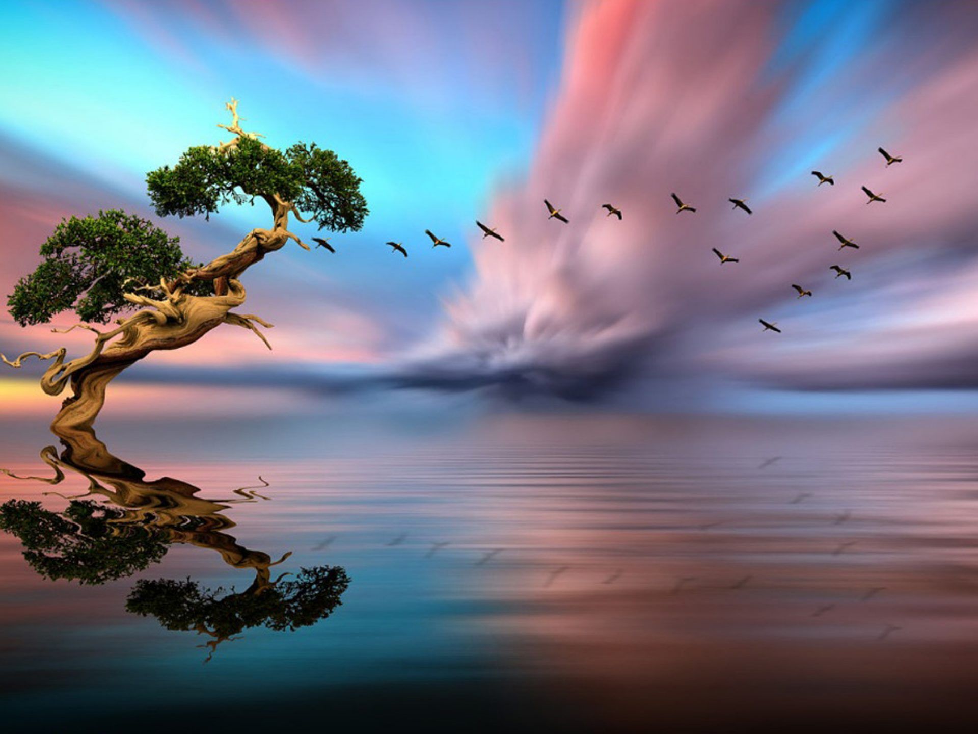 Trees Clouds Water HD Wallpapers Wallpaper Cave