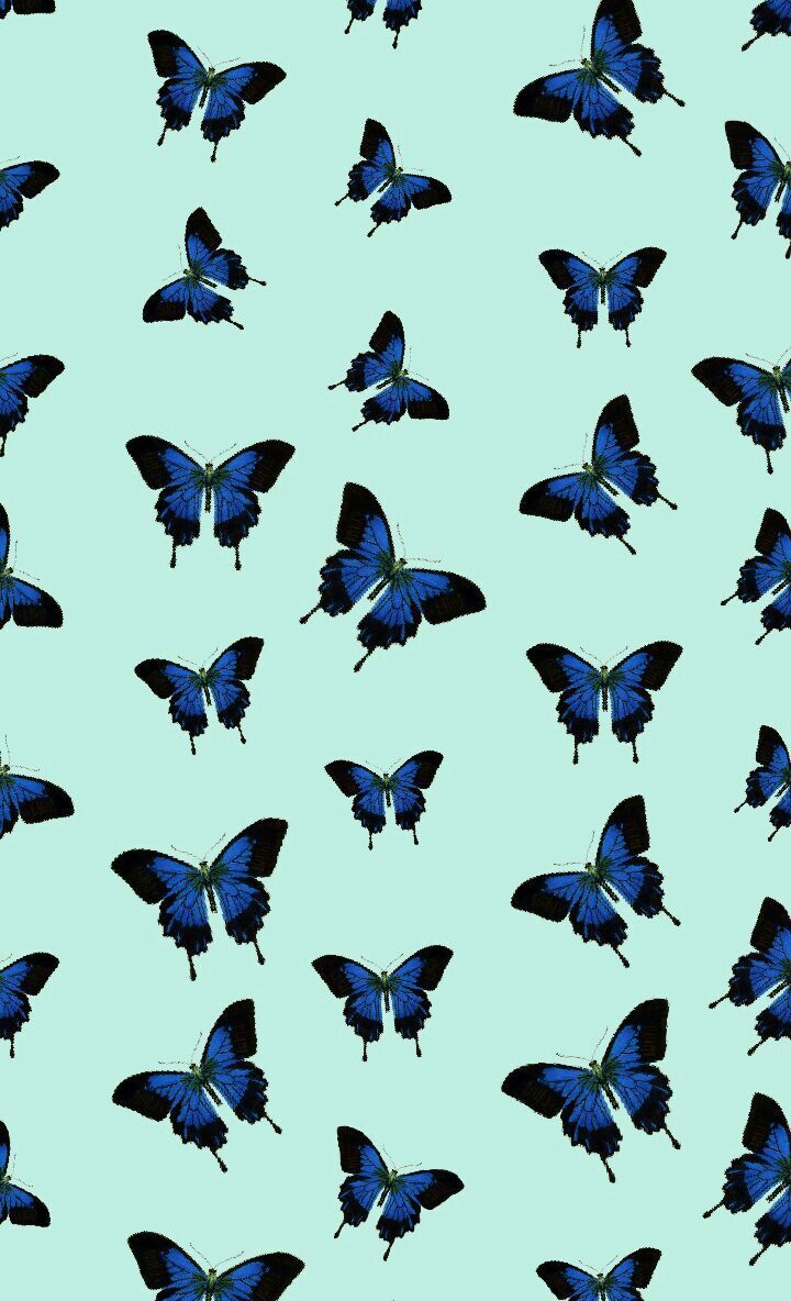 Blue Aesthetic Butterfly Wallpapers Wallpaper Cave