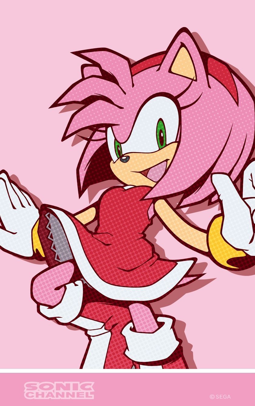 Sonic And Amy Wallpapers Wallpaper Cave