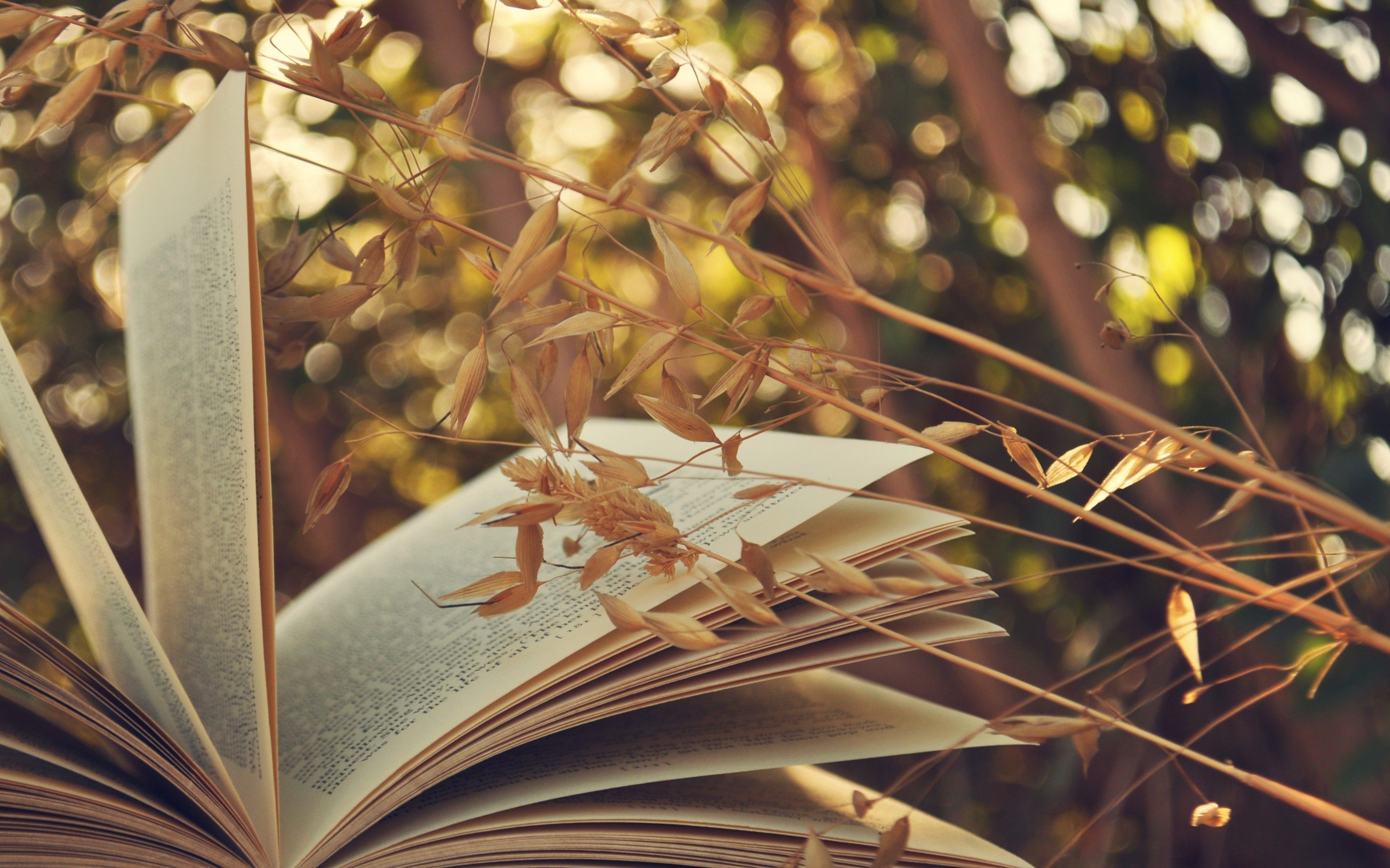 Bookstore Wallpapers Wallpaper Cave