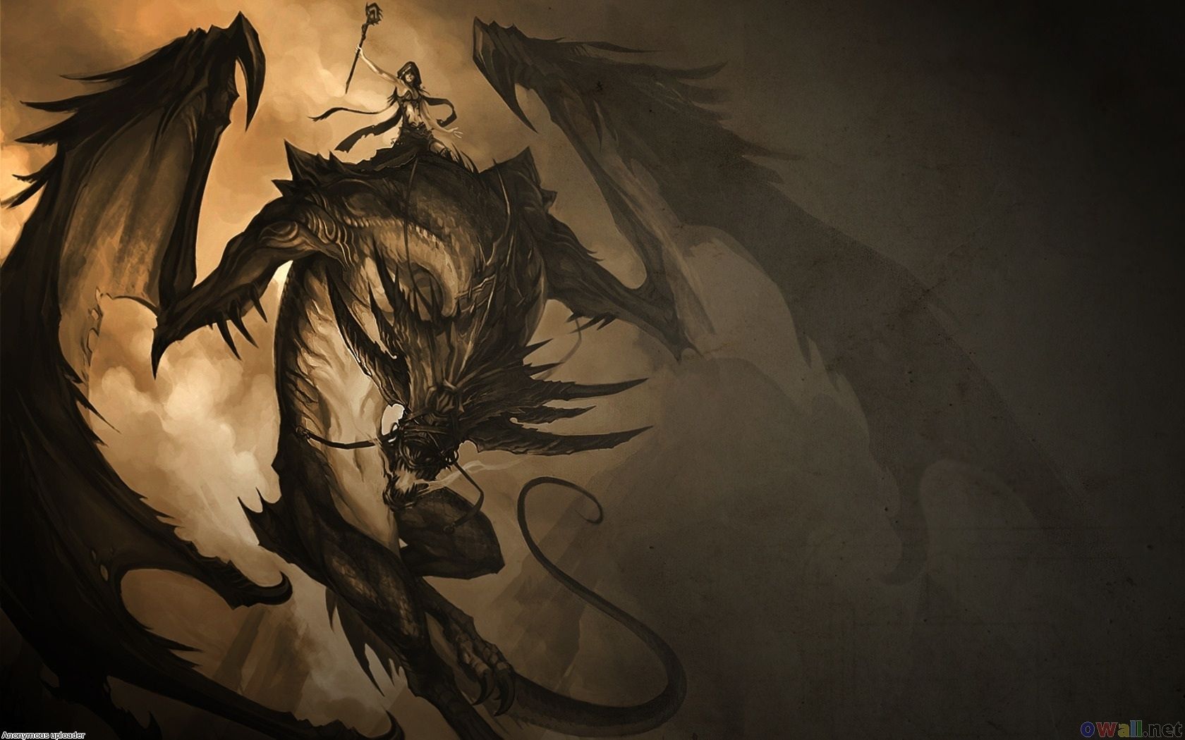 Gold And Black Dragon Wallpapers Wallpaper Cave