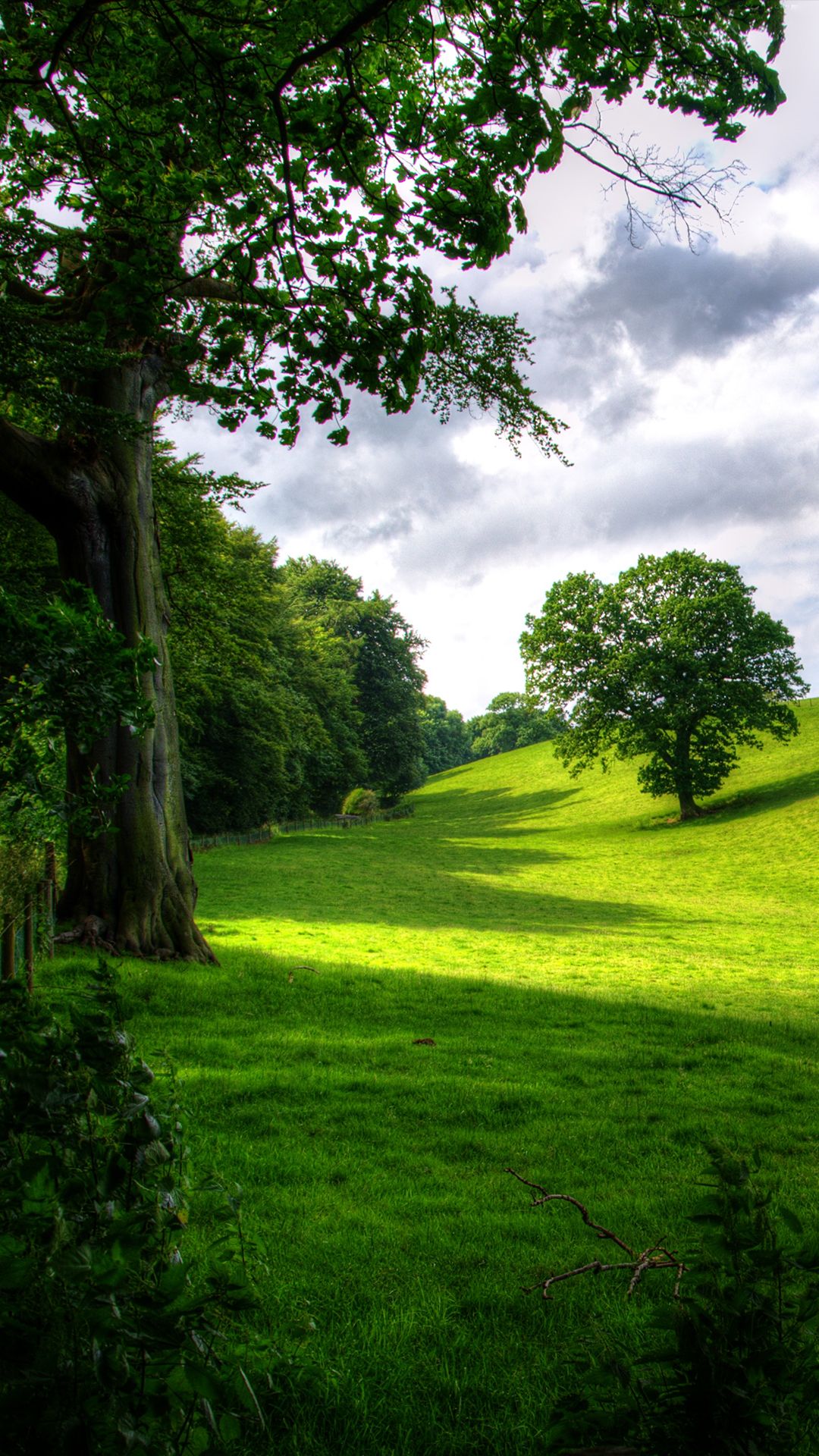 Green Park HD Wallpapers Wallpaper Cave