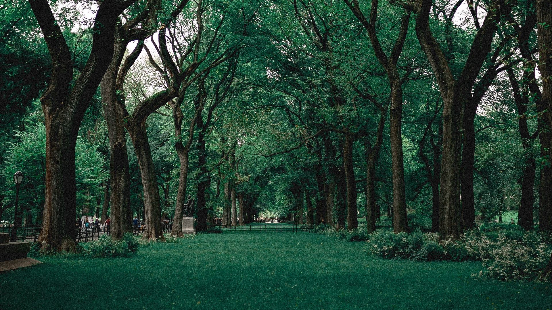 Green Park HD Wallpapers Wallpaper Cave