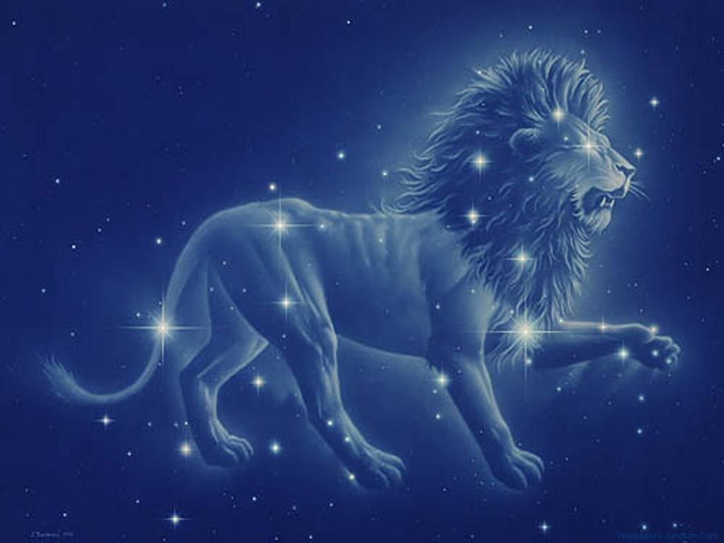 Zodiac Leo Wallpapers Wallpaper Cave