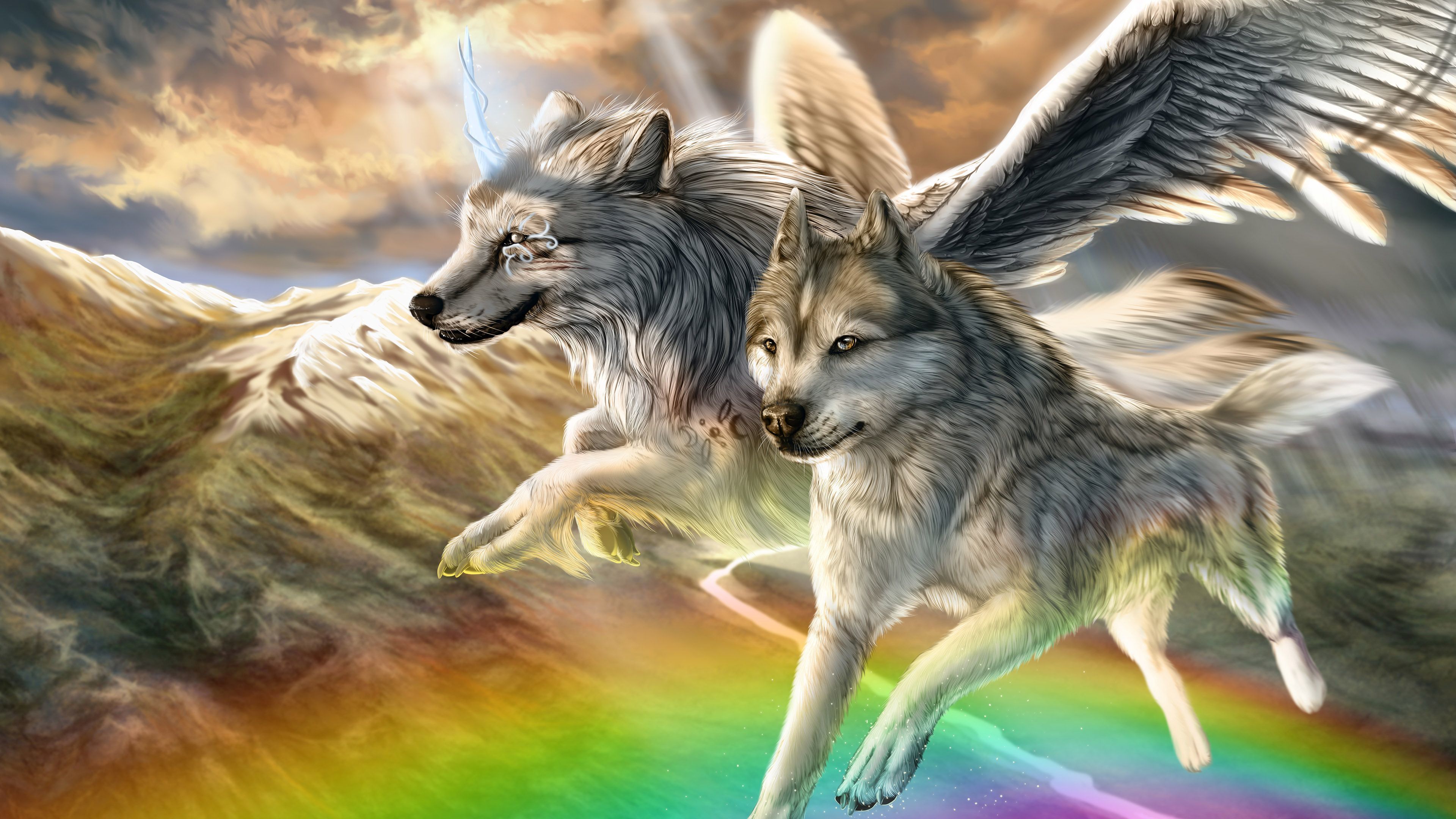 Rainbow Wolf Wallpapers Wallpaper Cave