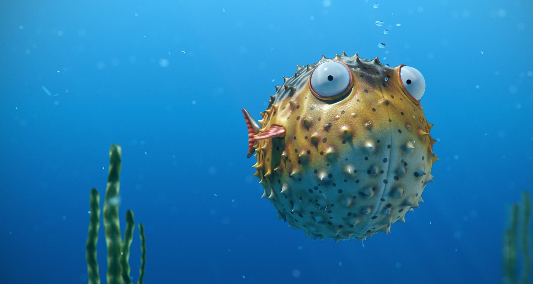 Pufferfish Wallpapers Wallpaper Cave