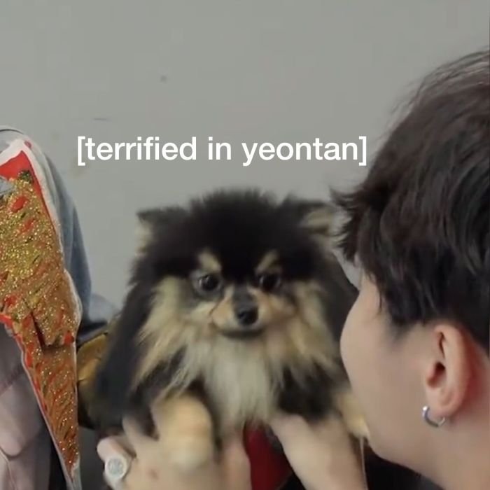 Yeontan Wallpapers - Wallpaper Cave