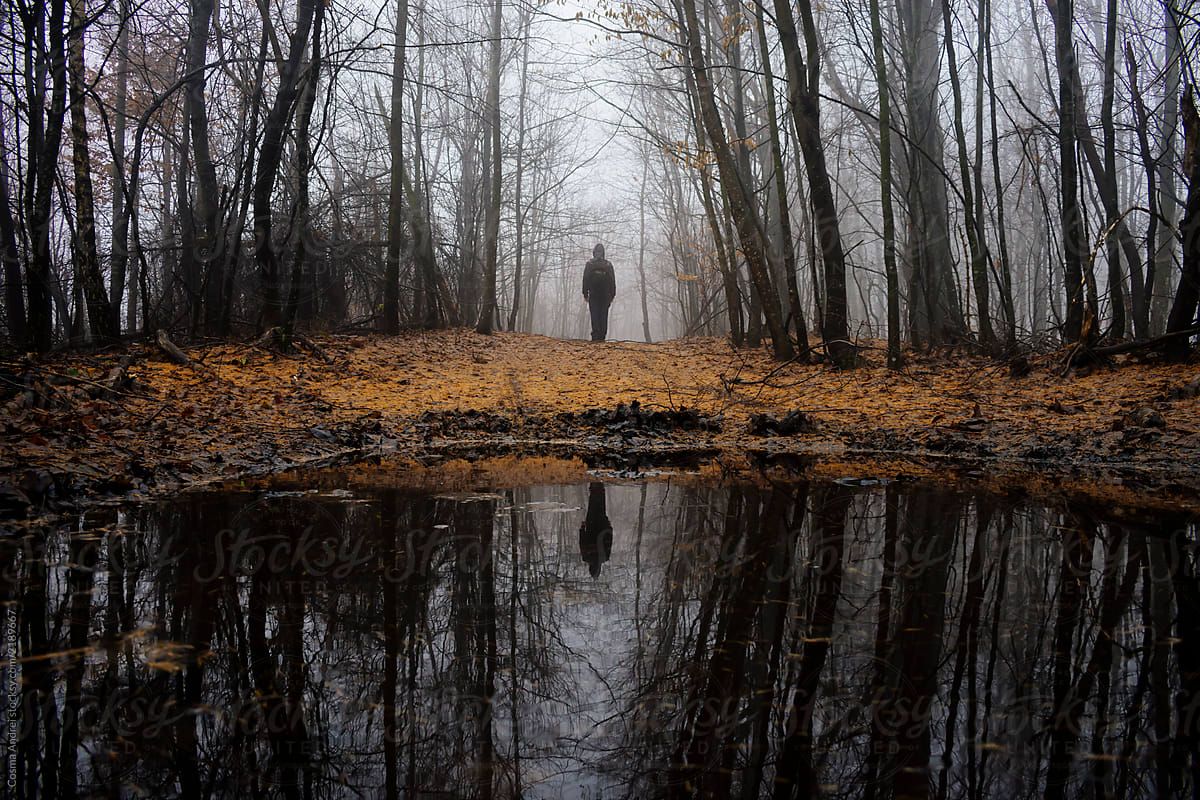 Haunted Autumn Wallpapers Wallpaper Cave