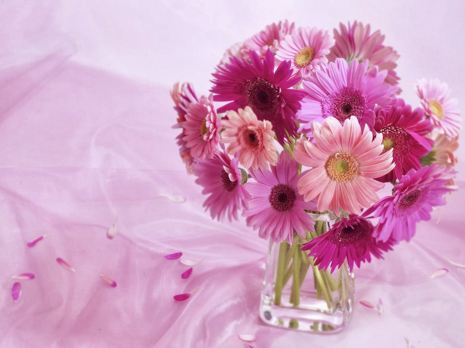 Flower Vase Wallpapers Wallpaper Cave
