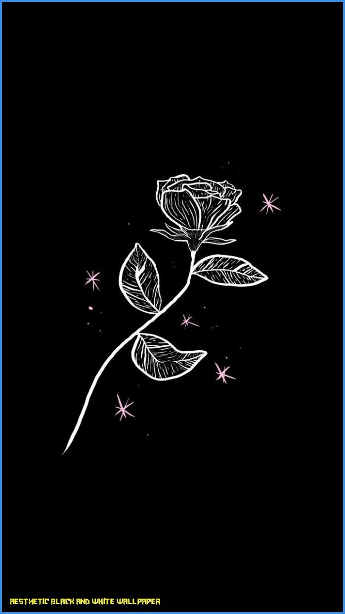 Black Beauty Wallpapers Wallpaper Cave