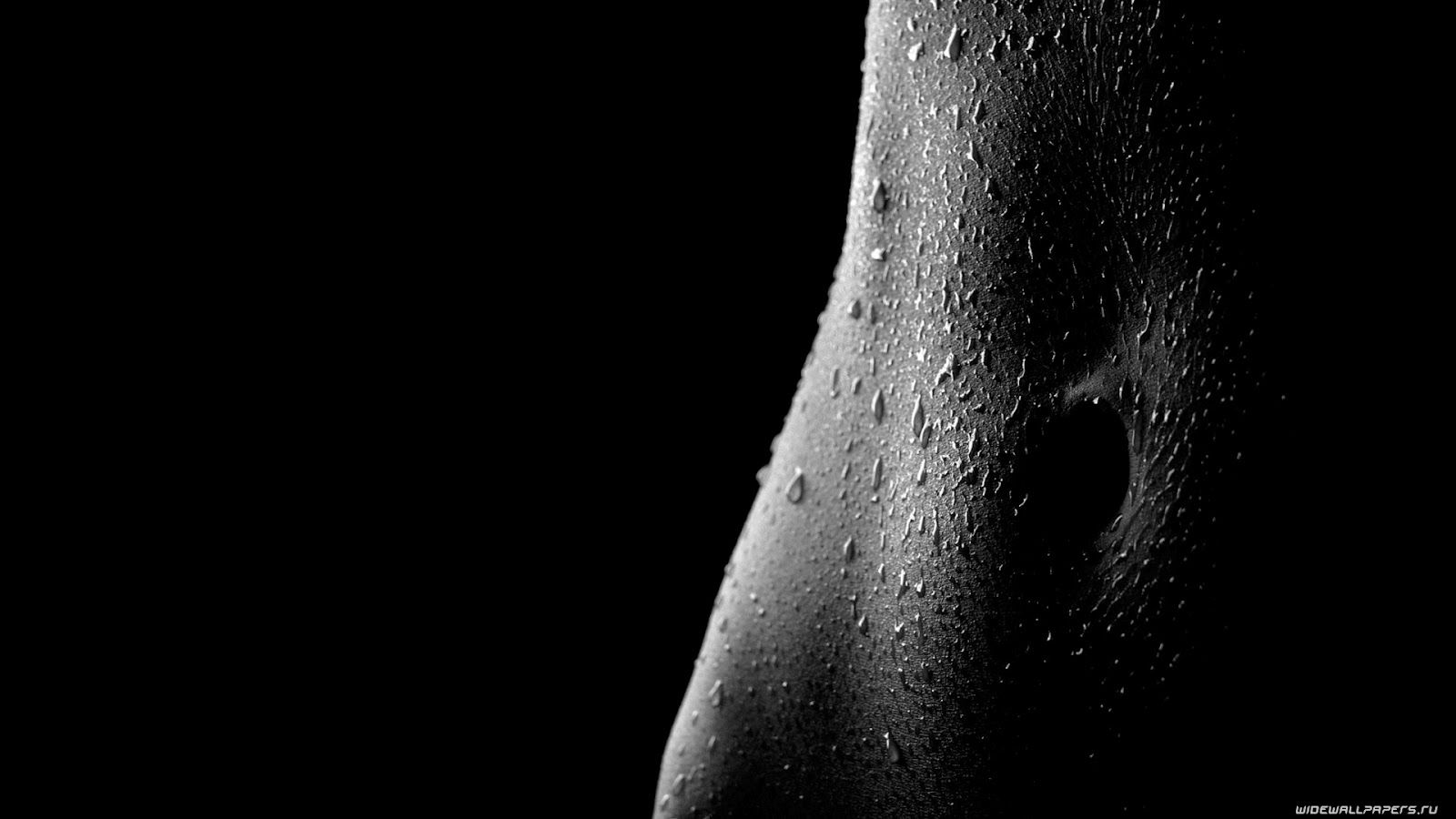 Black Beauty Wallpapers Wallpaper Cave