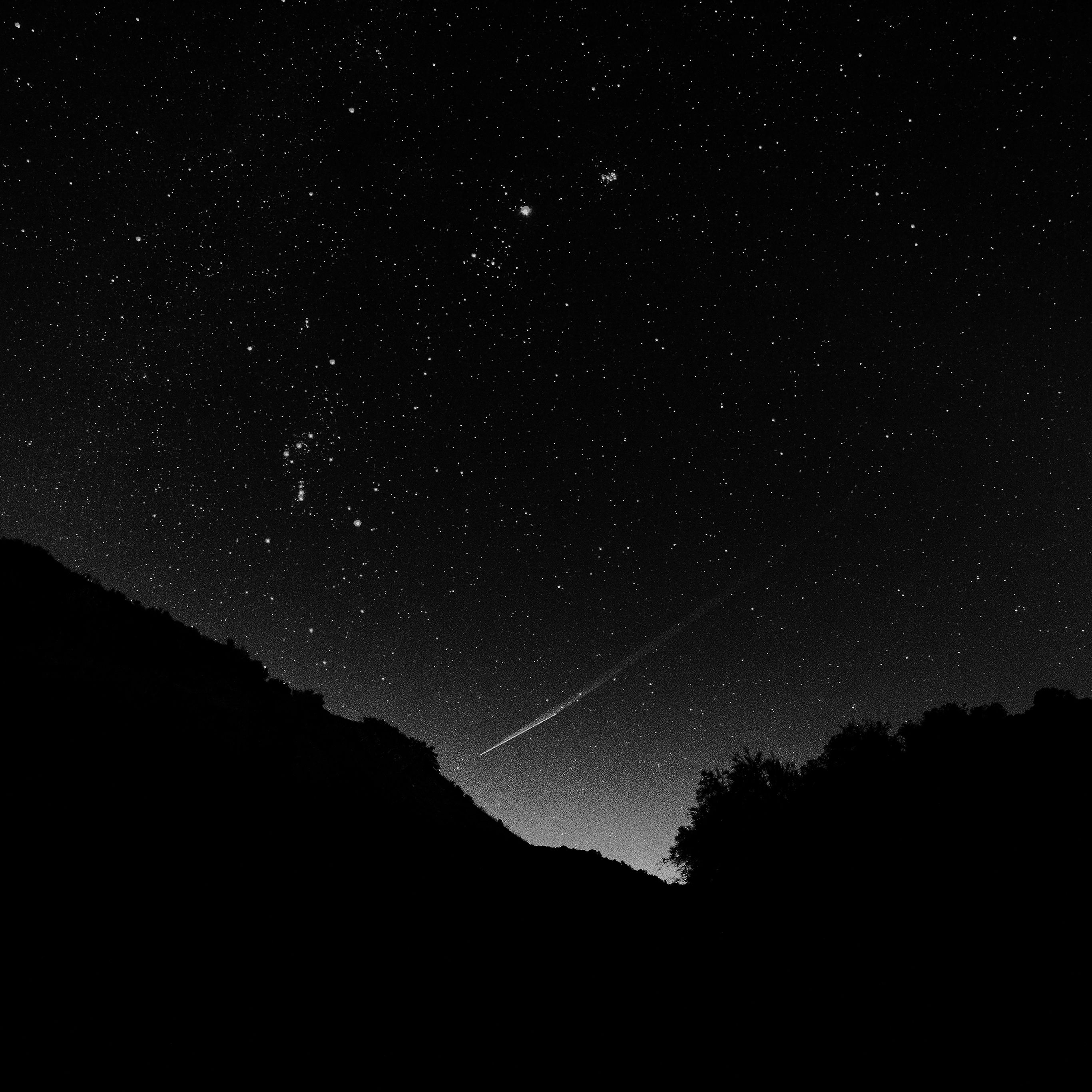 Black Beauty Wallpapers Wallpaper Cave