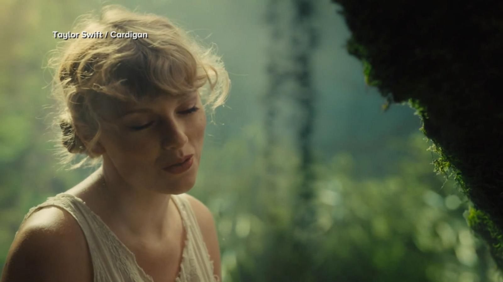 Taylor Swift Folklore Wallpapers Wallpaper Cave