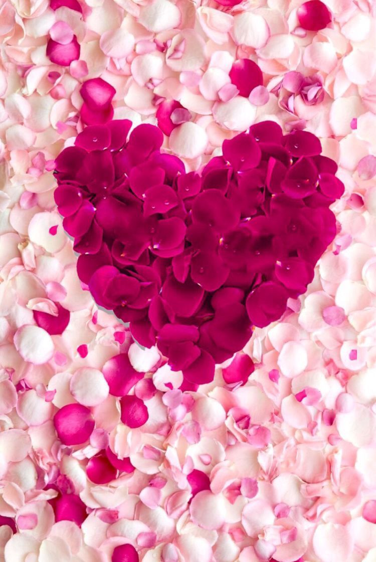 Pink Heart Flower Wallpapers Wallpaper Cave