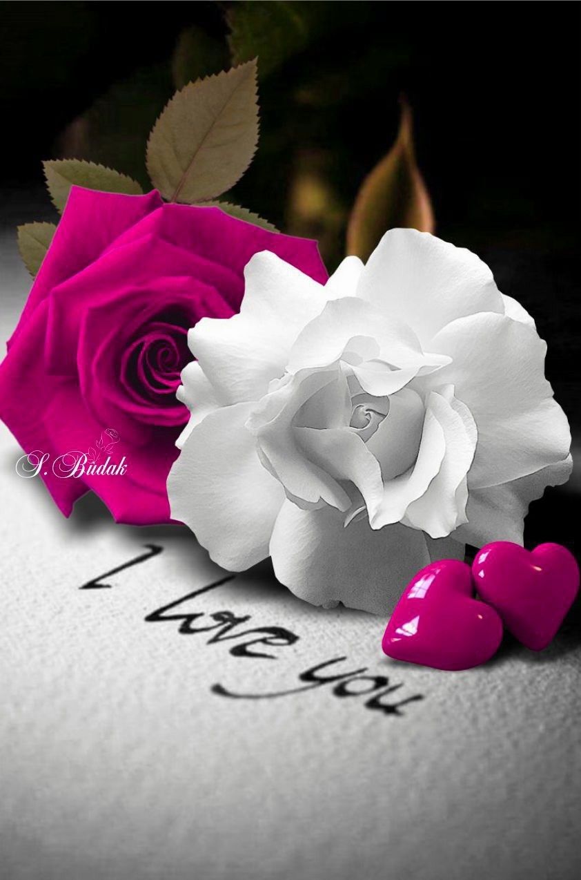 Pink Heart Flower Wallpapers Wallpaper Cave