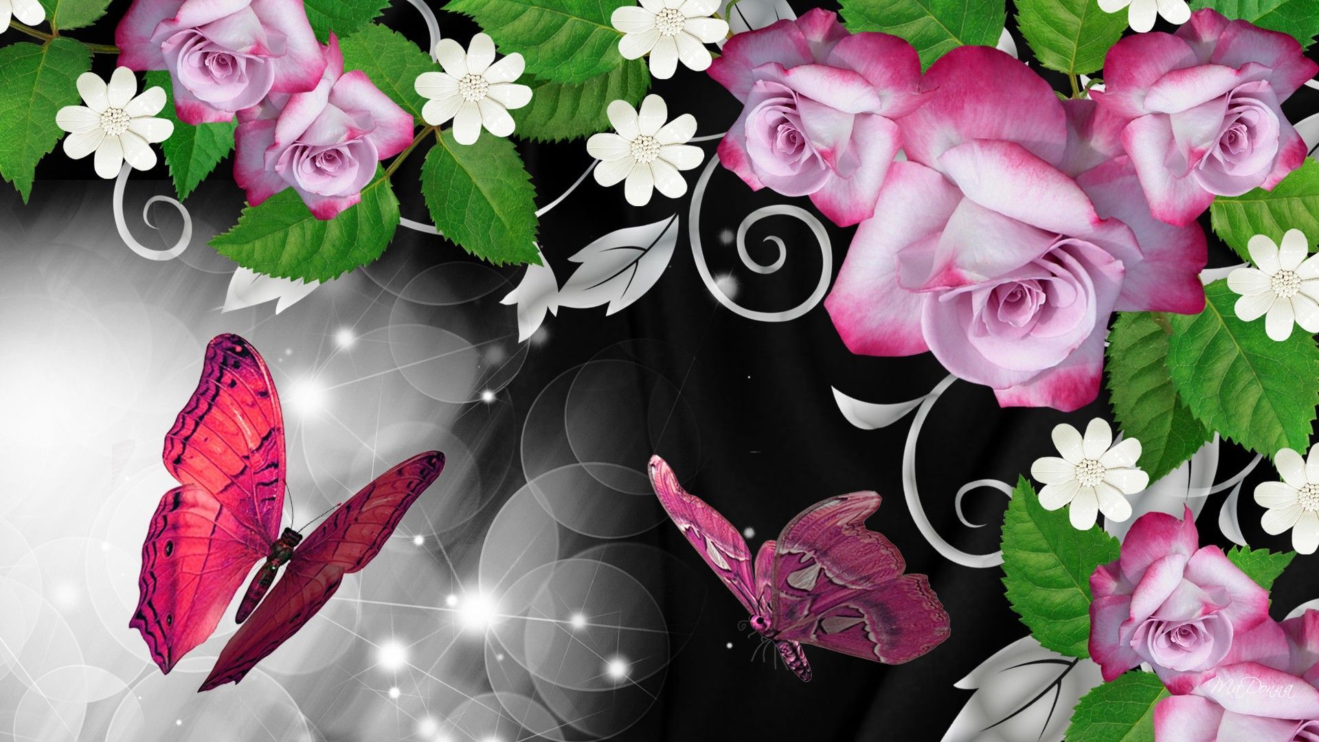 Butterfly And Rose Wallpapers Wallpaper Cave