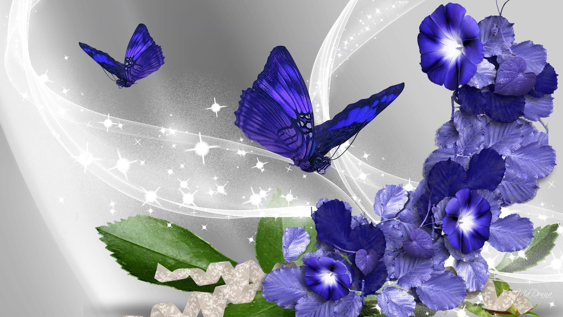 Butterfly And Rose Wallpapers Wallpaper Cave