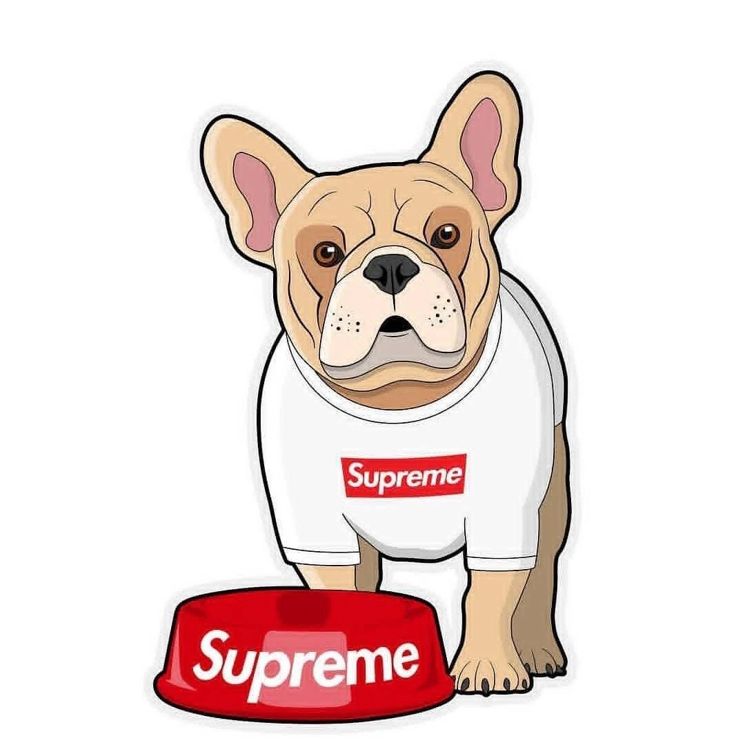 Dogs Supreme Wallpapers Wallpaper Cave