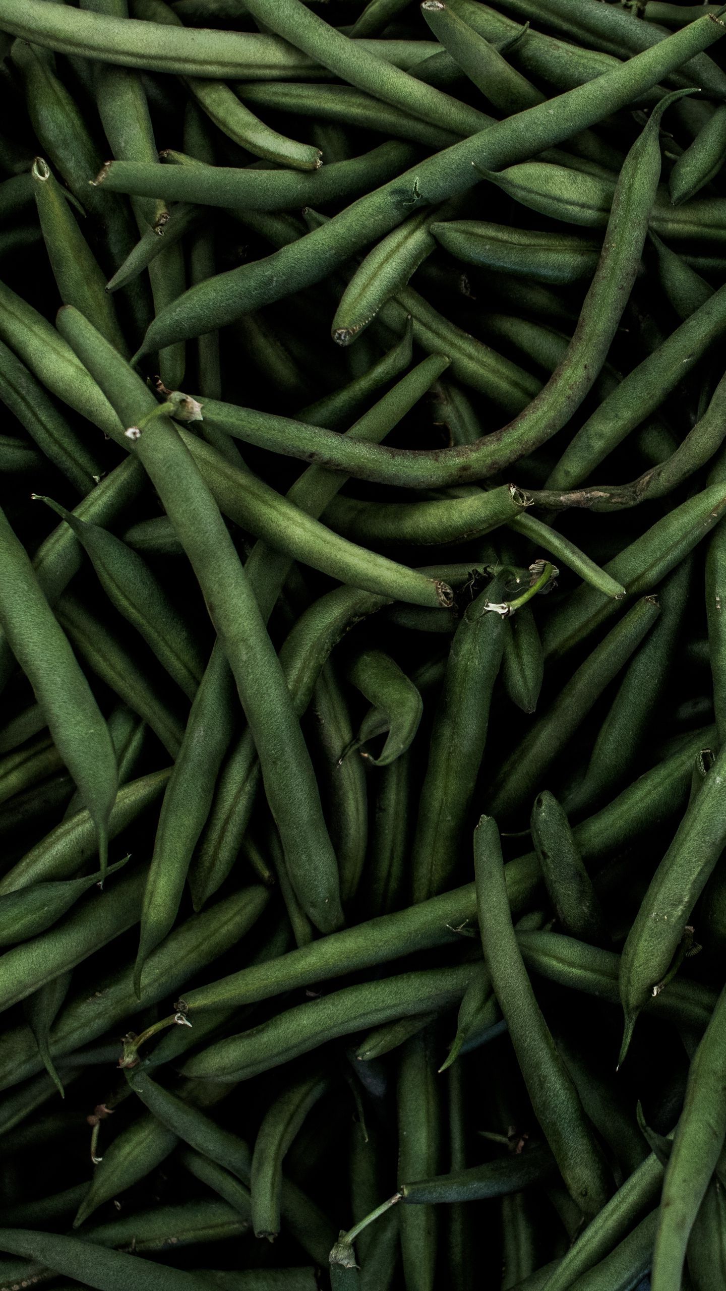 Green Bean Wallpapers Wallpaper Cave
