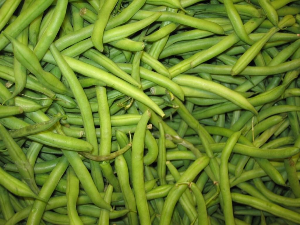 Green Bean Wallpapers Wallpaper Cave