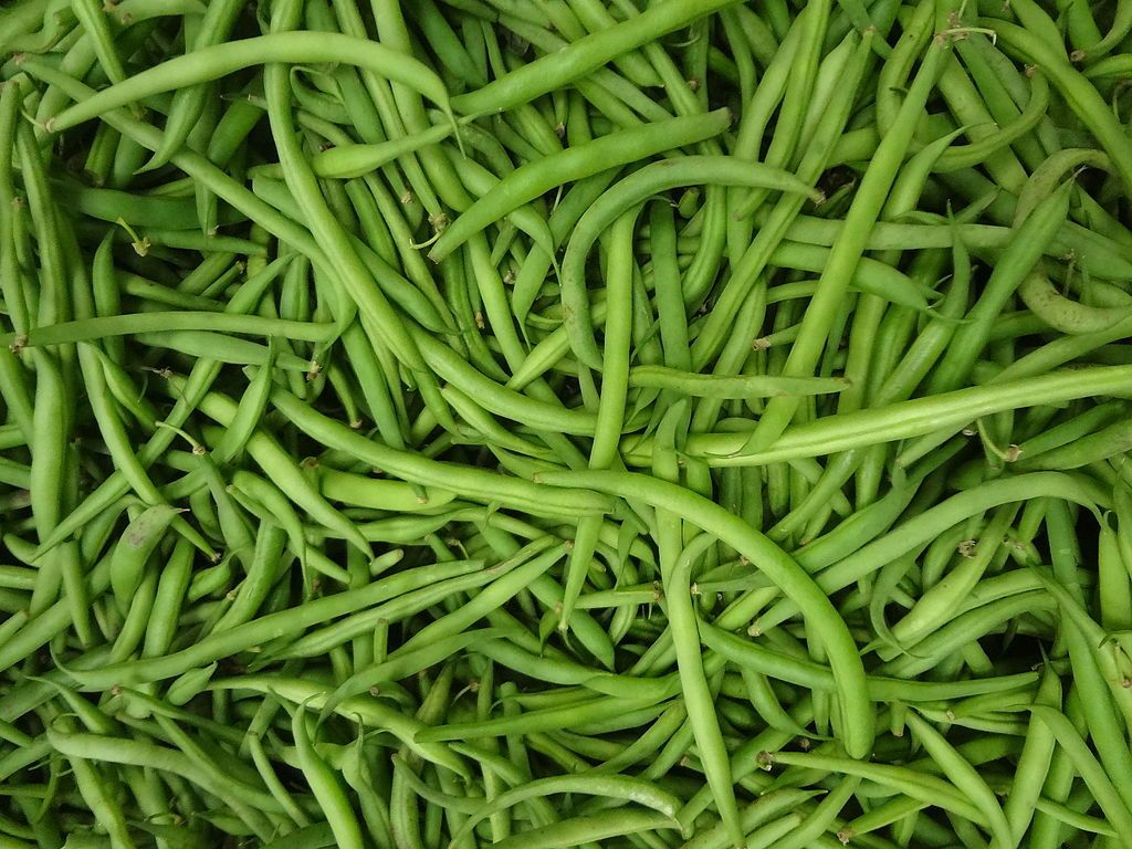 Green Bean Wallpapers Wallpaper Cave