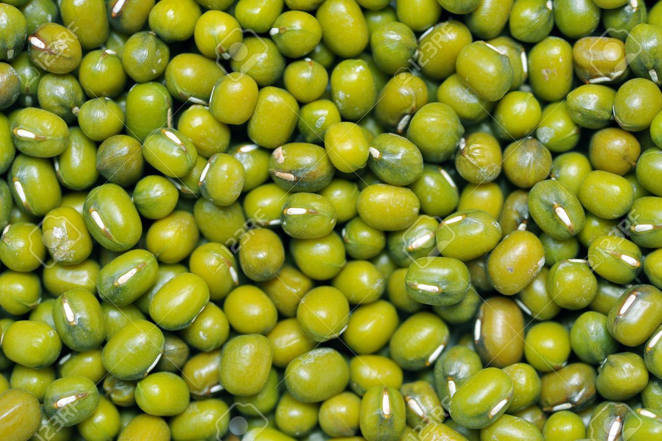 Green Bean Wallpapers Wallpaper Cave