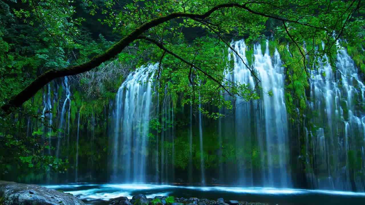 Animated Beautiful Nature Wallpaper