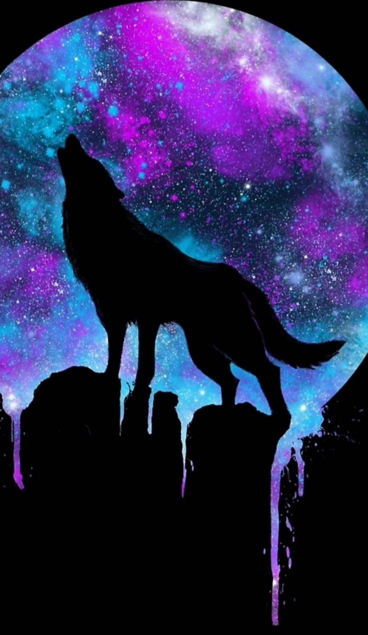 Galaxy Wolves Wallpapers Wallpaper Cave
