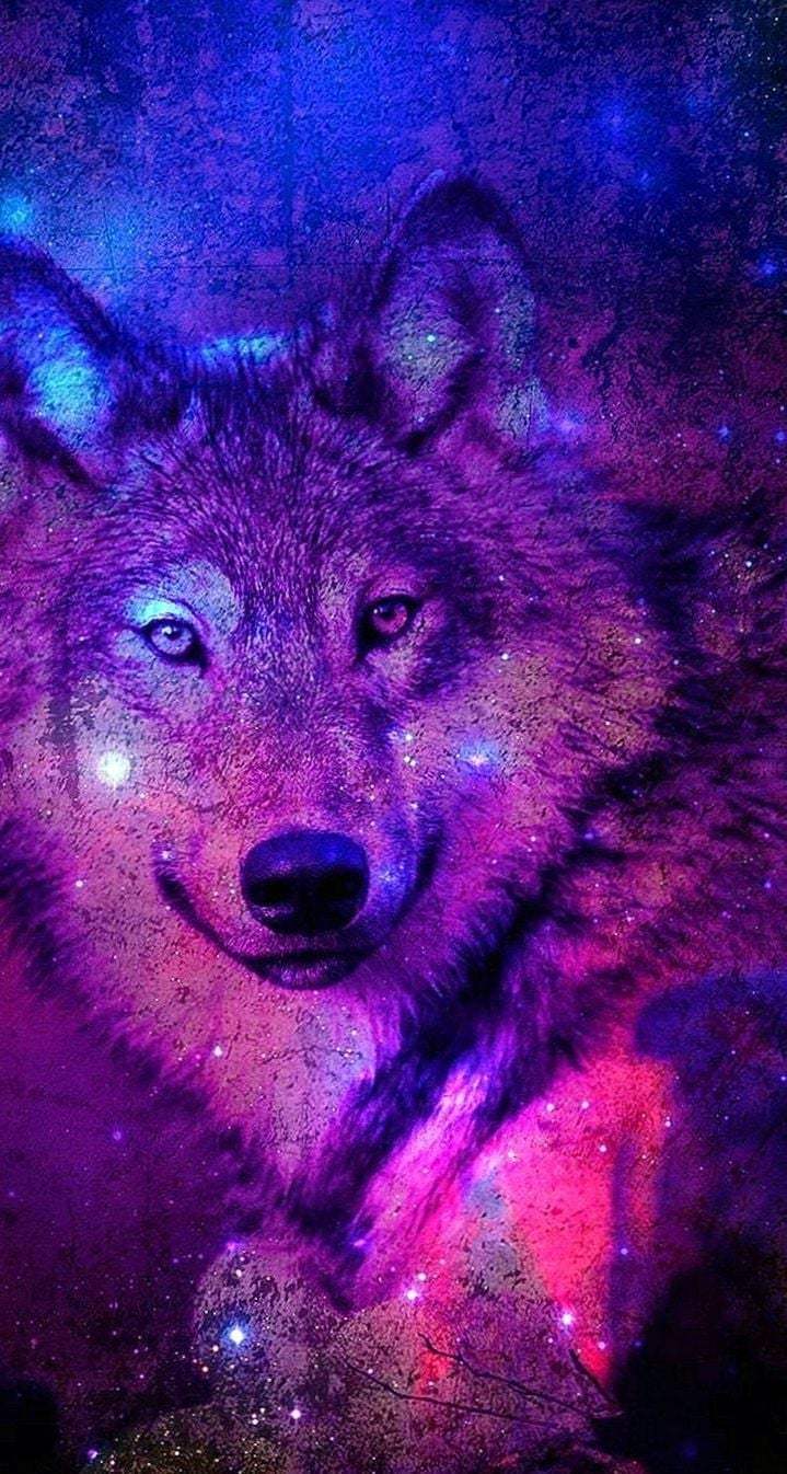 Galaxy Wolves Wallpapers Wallpaper Cave