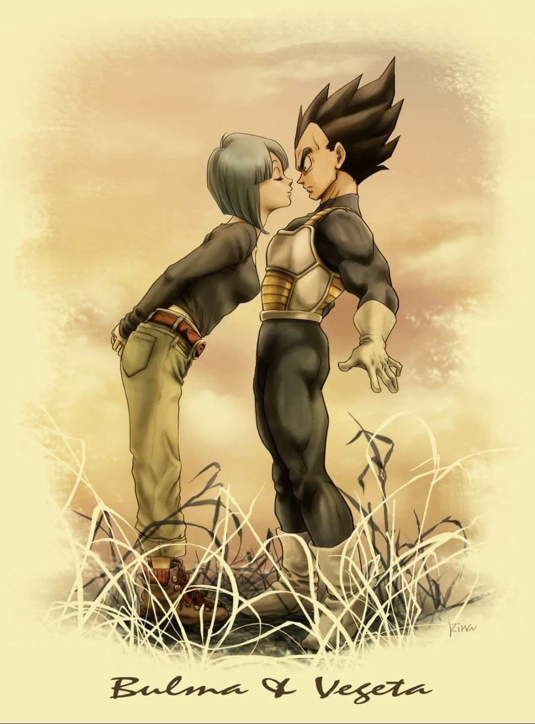 Vegeta And Bulma Wallpapers Wallpaper Cave