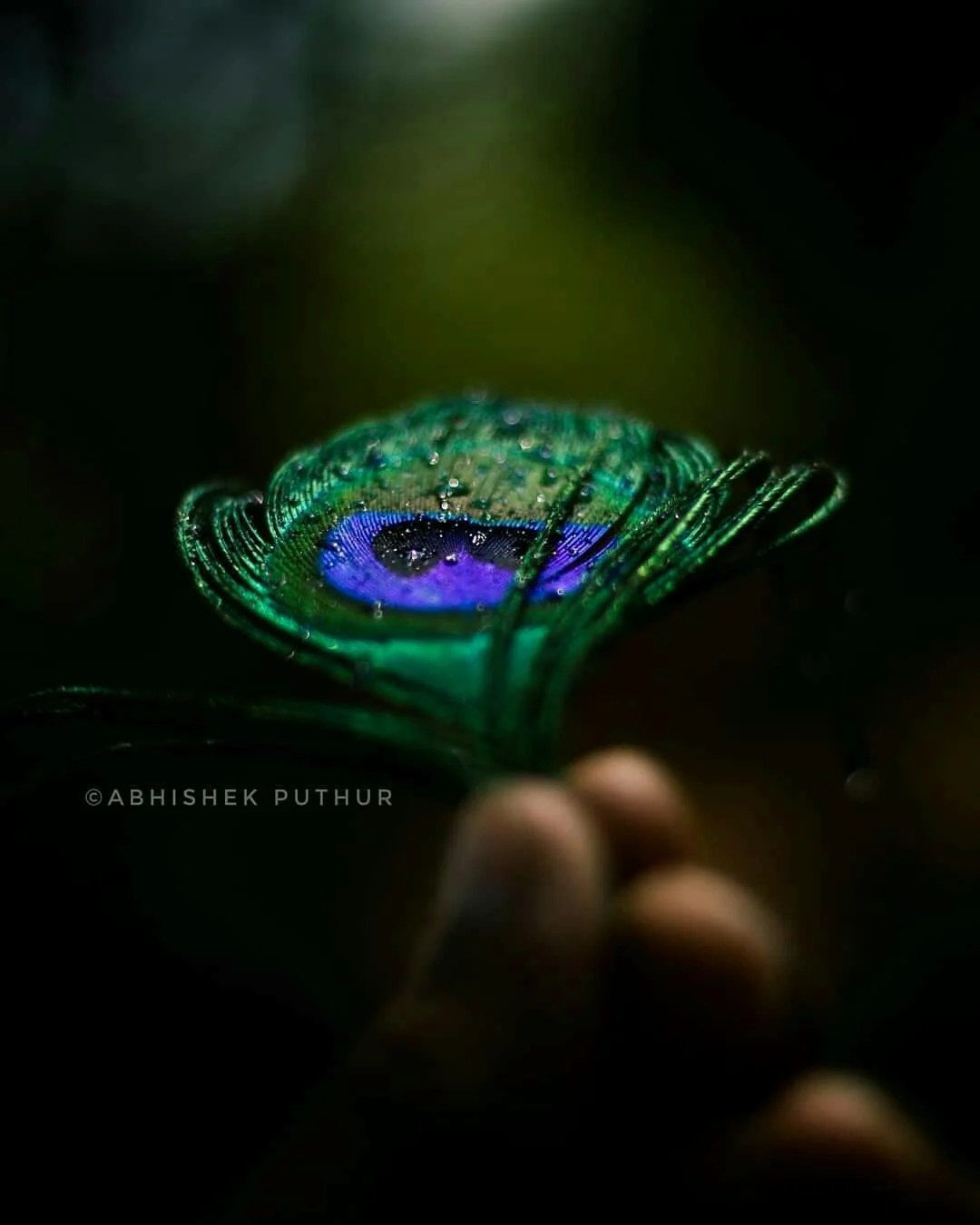 Radha Krishna Black Wallpapers Wallpaper Cave