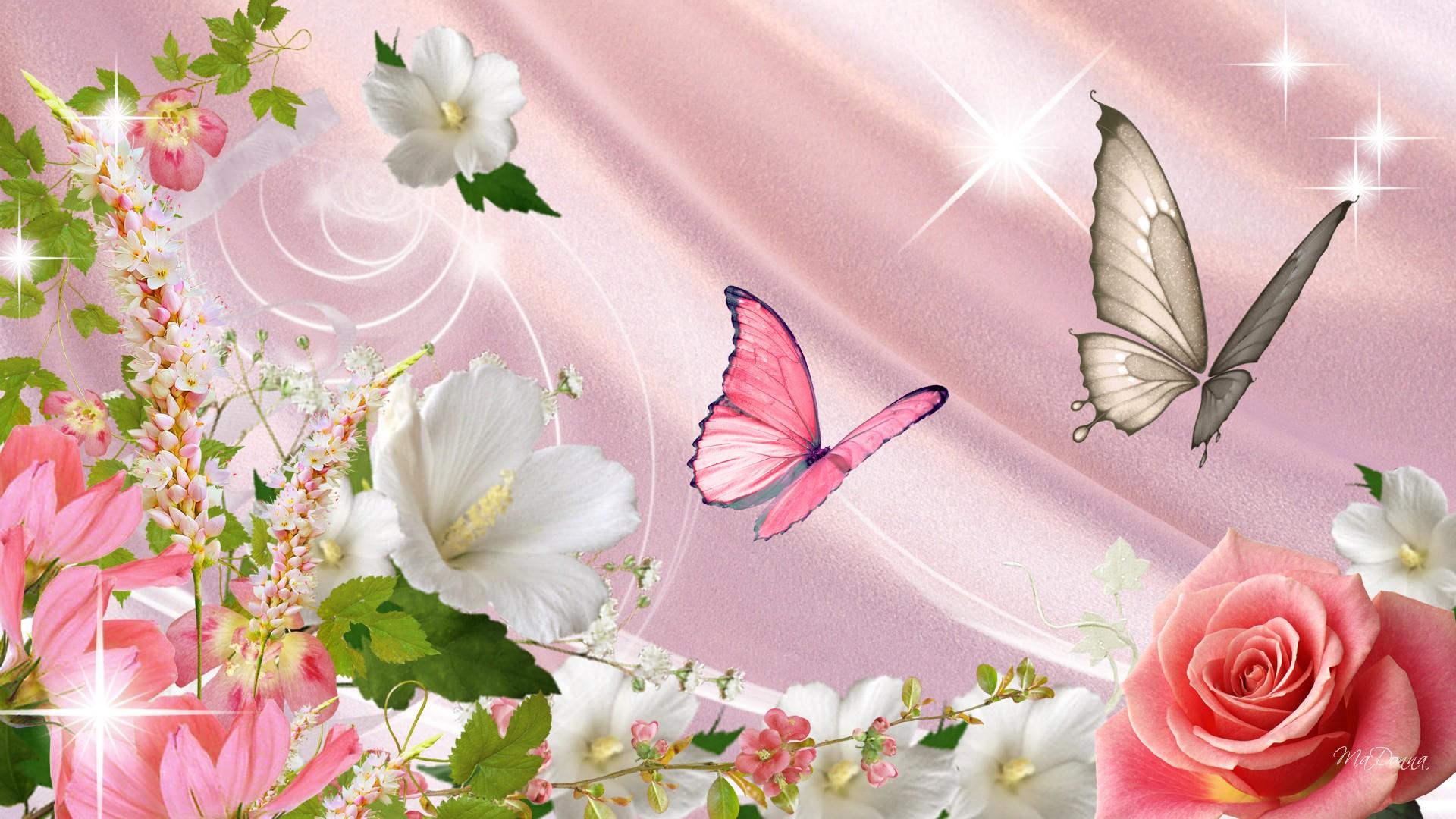 Flowers And Butterflies Wallpapers Wallpaper Cave