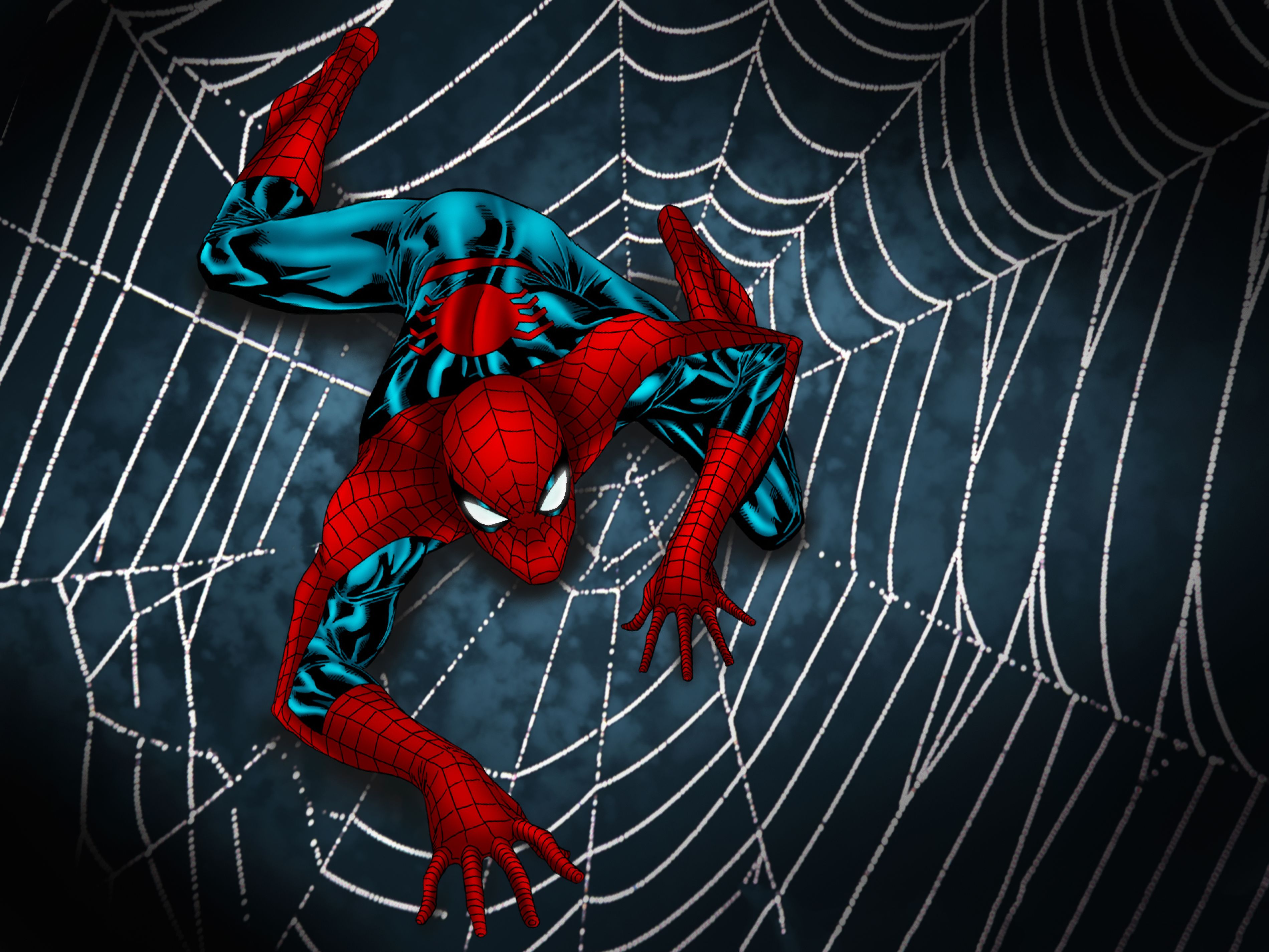 Spider Man  Wallpapers Wallpaper Cave