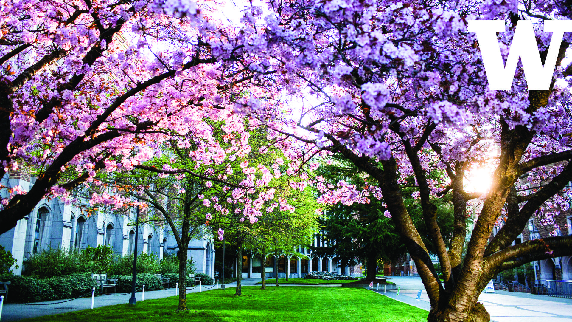 University Of Wisconsin Desktop Wallpapers Wallpaper Cave