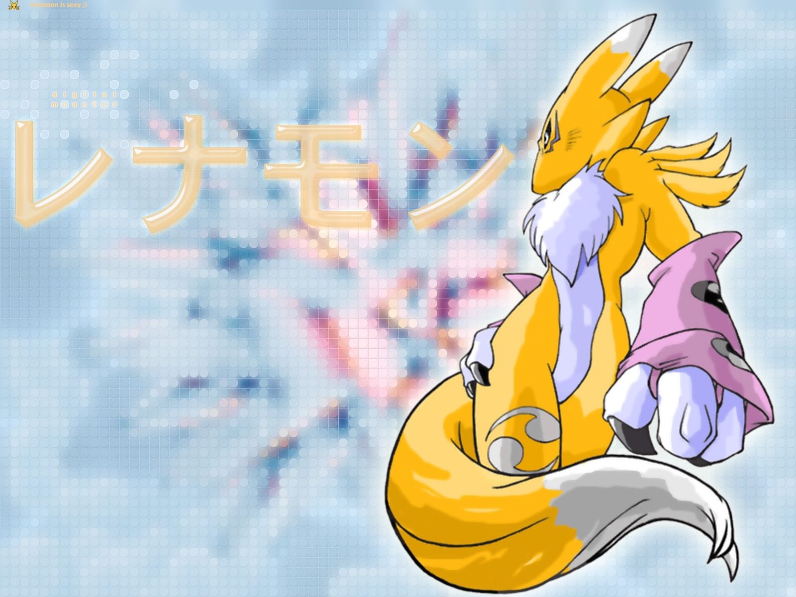 Renamon Wallpapers Wallpaper Cave