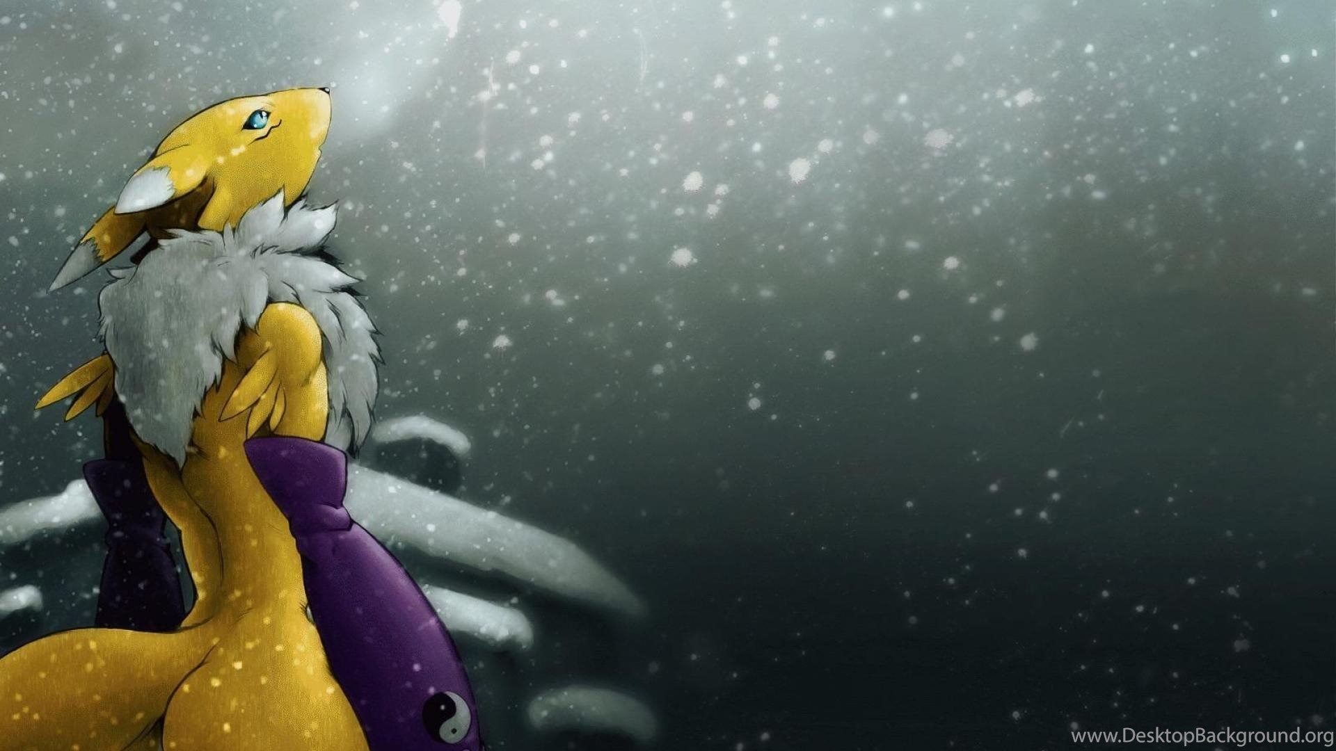 Renamon Wallpapers Wallpaper Cave
