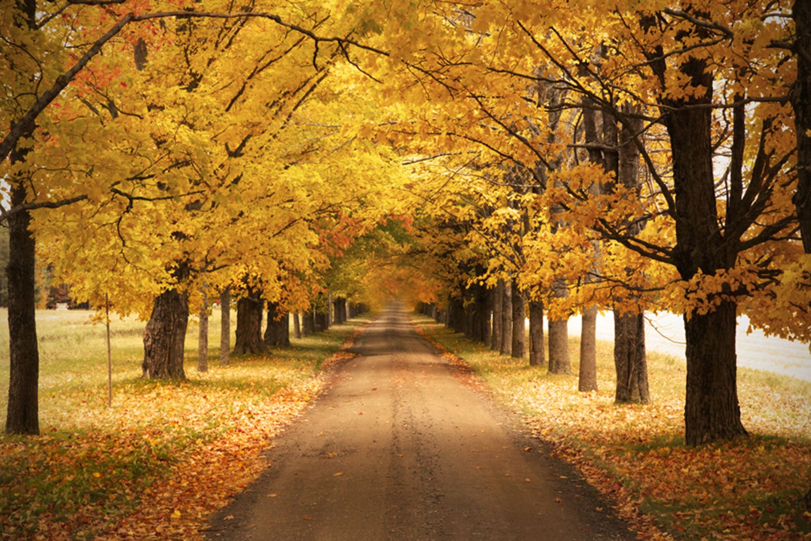 Canada Autumn Wallpapers Wallpaper Cave