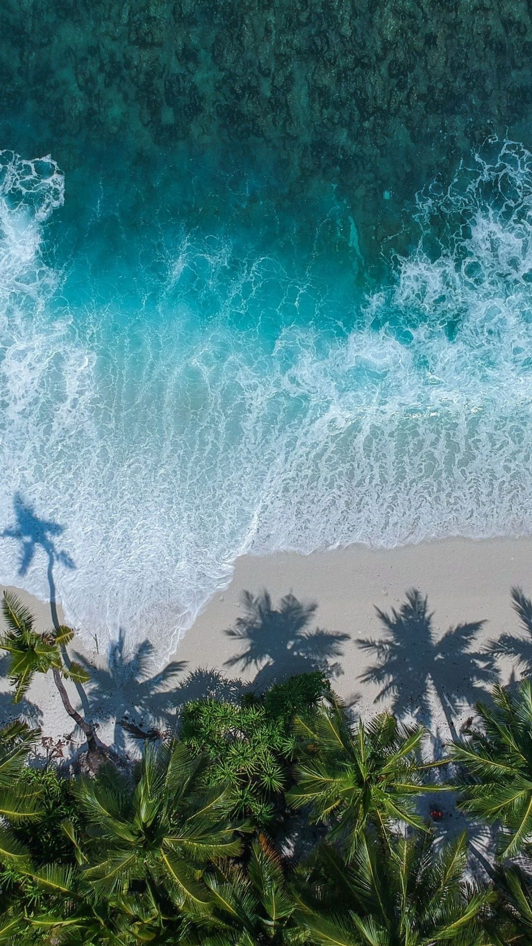 Phone Palm Beach Wallpapers Wallpaper Cave