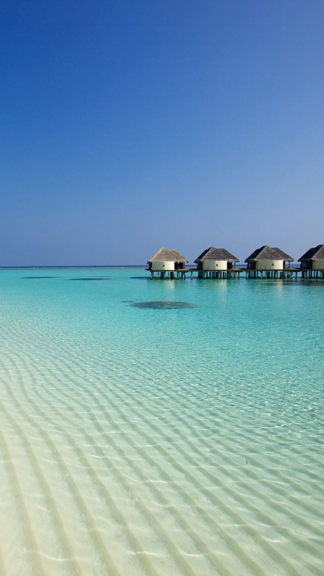 Phone Palm Beach Wallpapers Wallpaper Cave