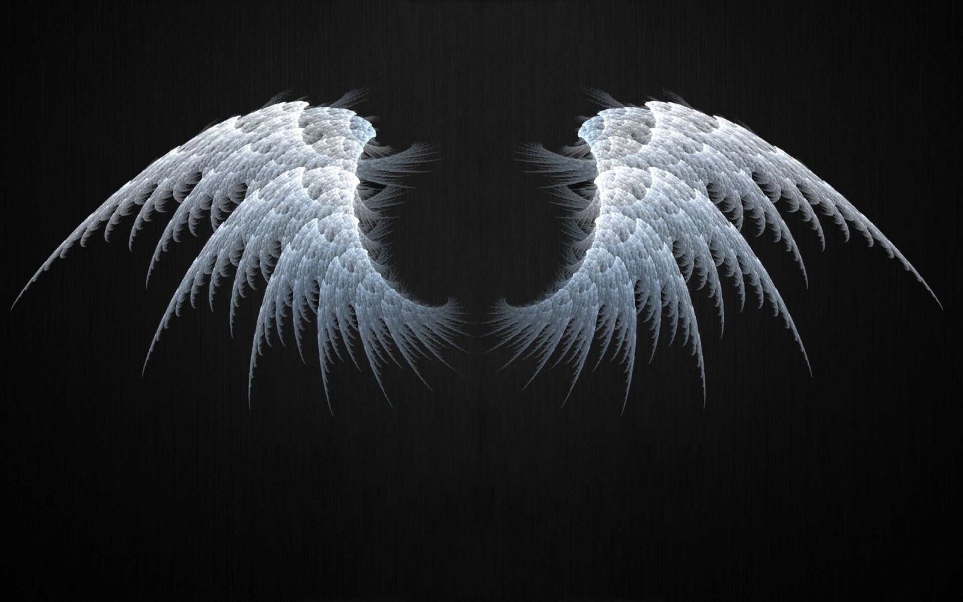 Black Wings Wallpapers Wallpaper Cave