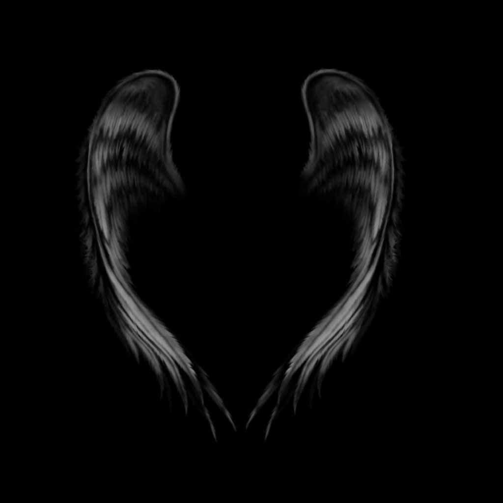 Black Wings Wallpapers Wallpaper Cave
