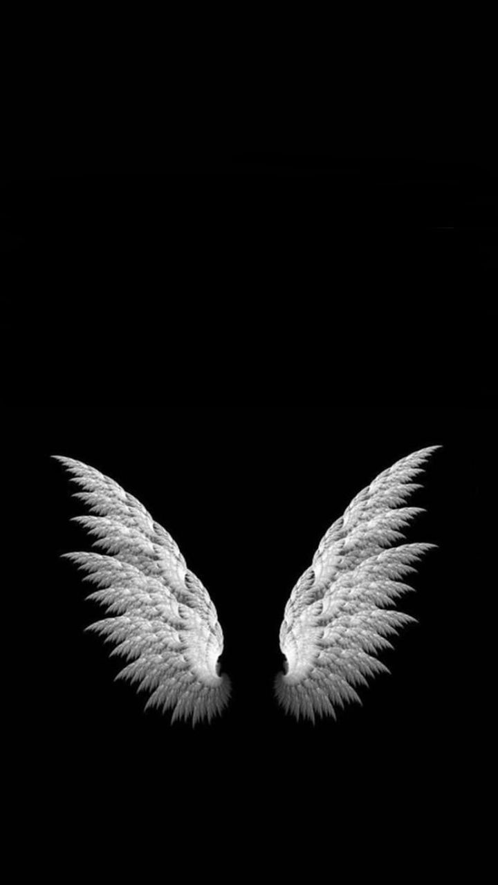 Black Wings Wallpapers Wallpaper Cave