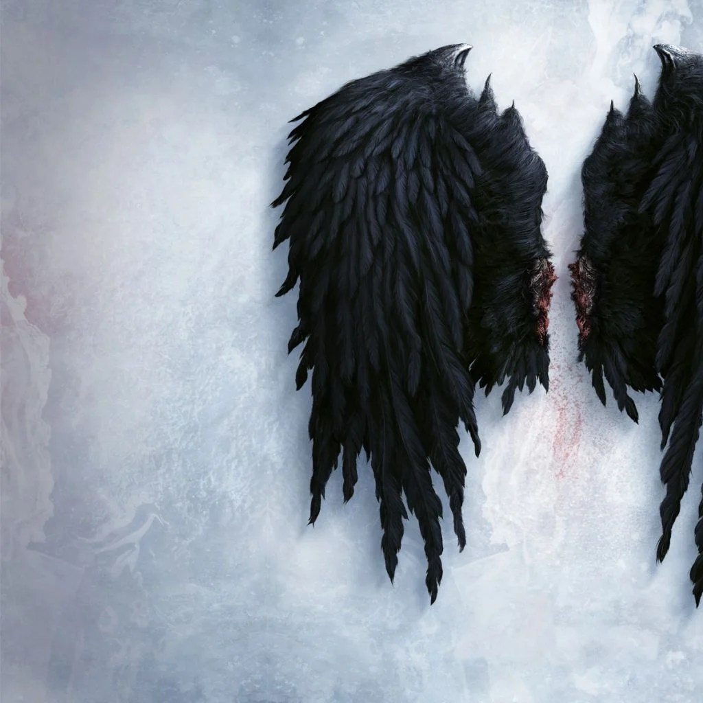 Black Wings Wallpapers Wallpaper Cave